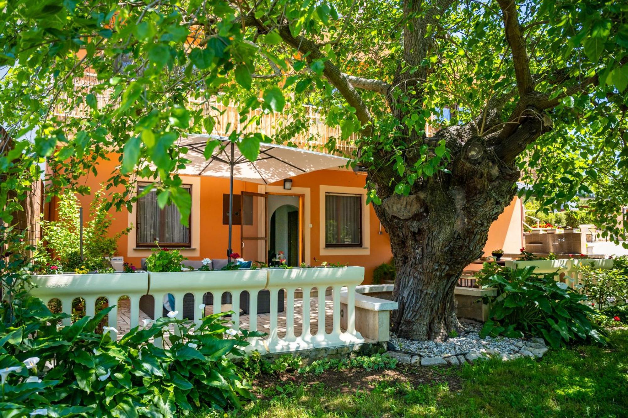 E-M Apartments With Private Pool Винкуран Экстерьер фото
