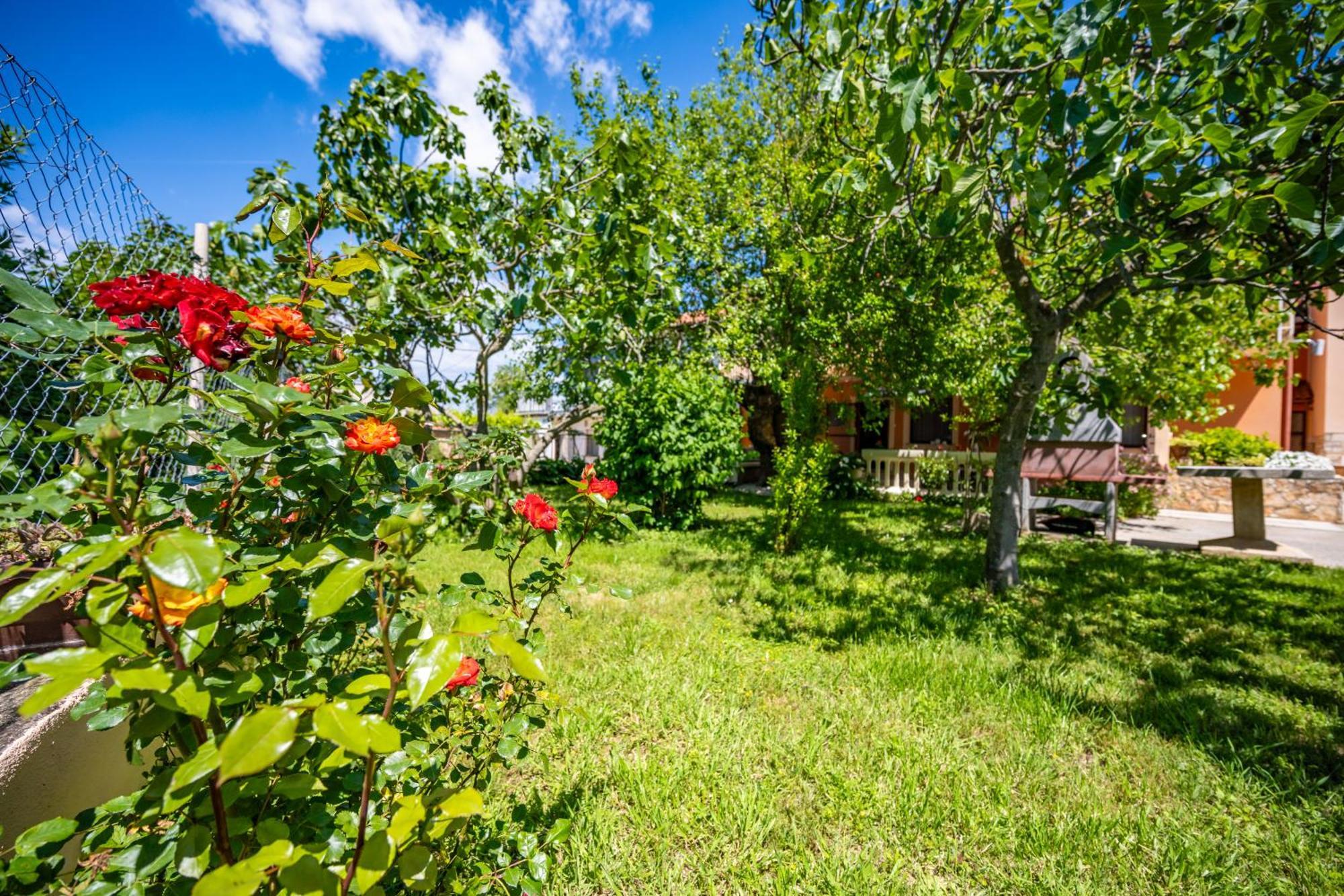 E-M Apartments With Private Pool Винкуран Экстерьер фото
