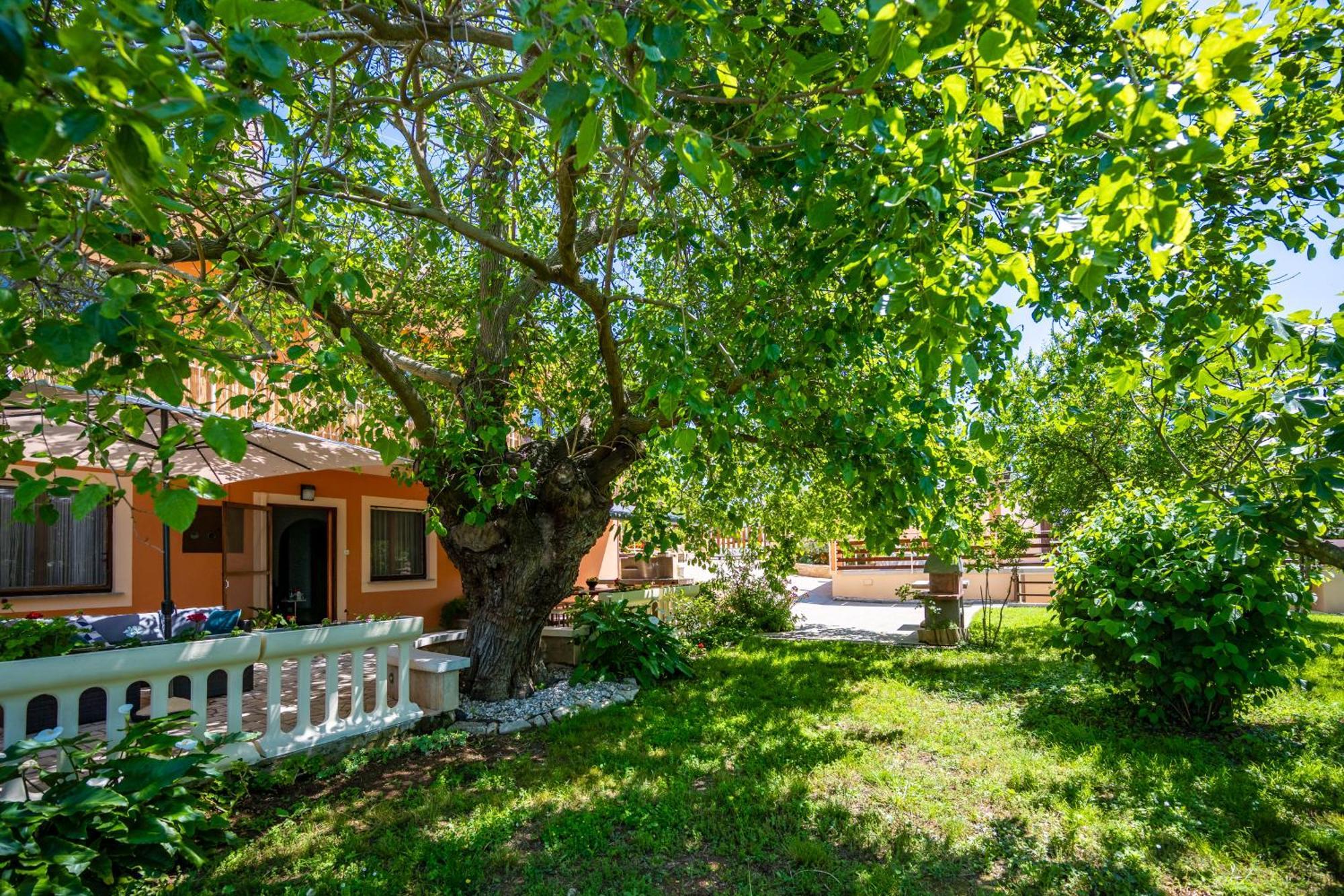 E-M Apartments With Private Pool Винкуран Экстерьер фото